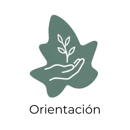 orientacion vocacional
